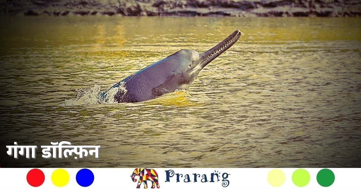 Prarang