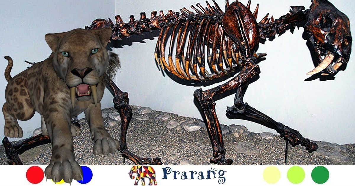 Prarang